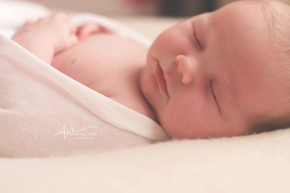 Sweet Sofia | Charlotte Newborn Photographer