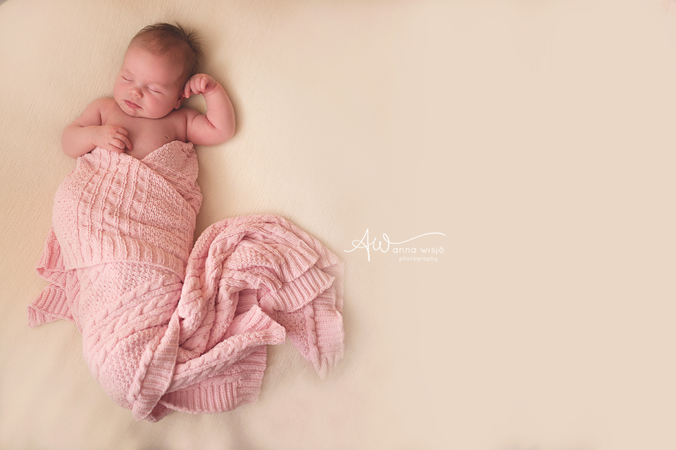 Sweet Sofia | Charlotte Newborn Photographer