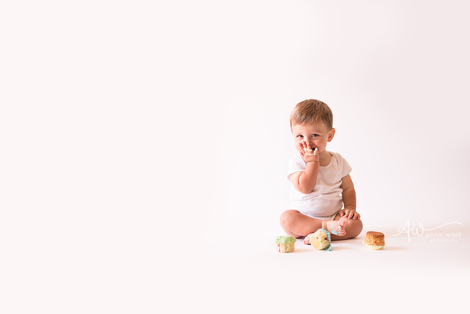 Finley One Year Old | Mooresville Baby Photographer | Anna Wisjo Photography