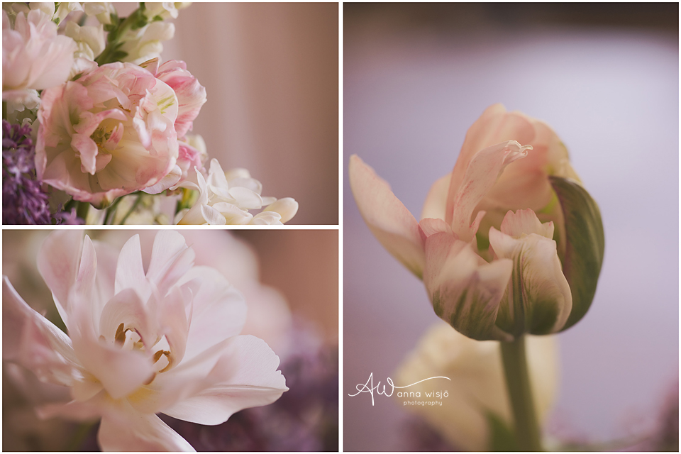 Macro Flowers | Anna Wisjo Photography