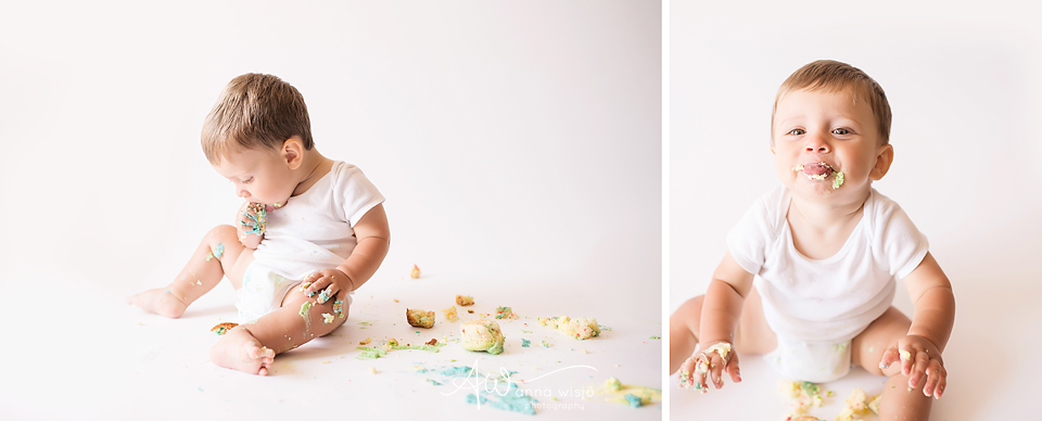 Finley Cake Smash | Anna Wisjo Photography