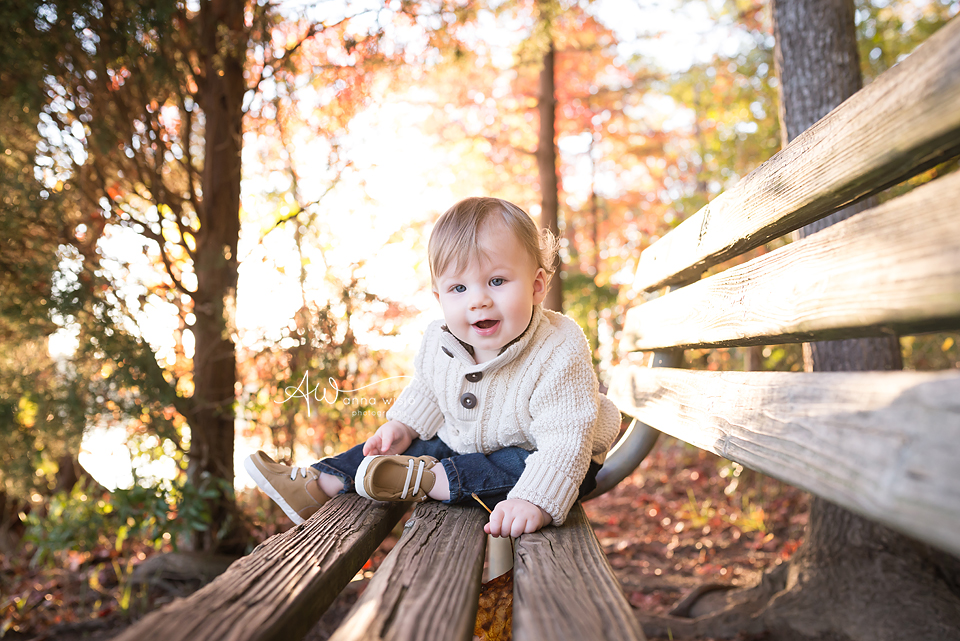 Theo | Huntersville Baby Photographer