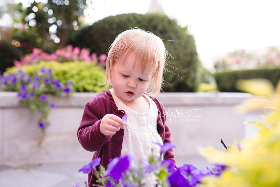 Fast & Curious Mabel | Charlotte Family Photographer