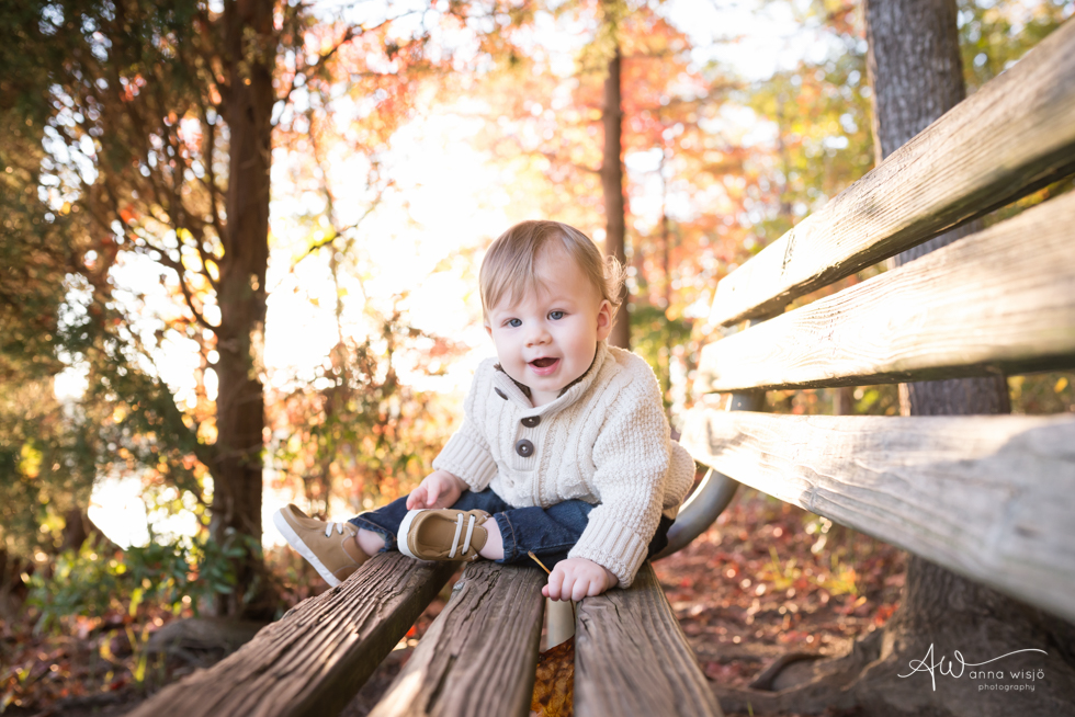 Theo One Year | Huntersville Family Photographer