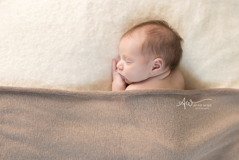 Cooper | Charlotte Newborn Photographer