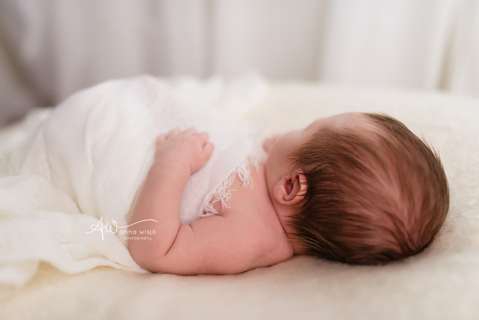 Evan Newborn | Charlotte Newborn Photographer