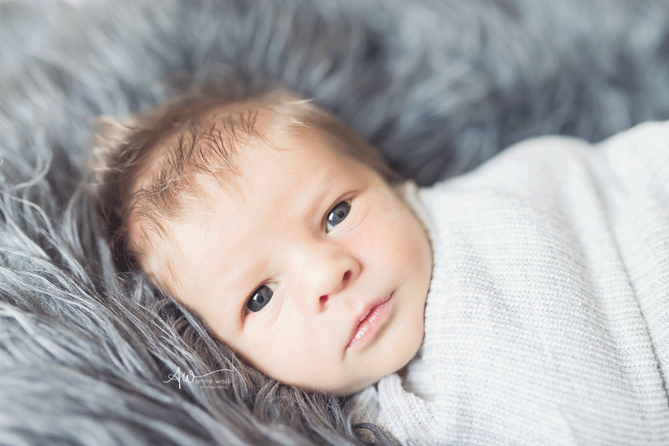Bright Eyes | Charlotte Newborn Photographer