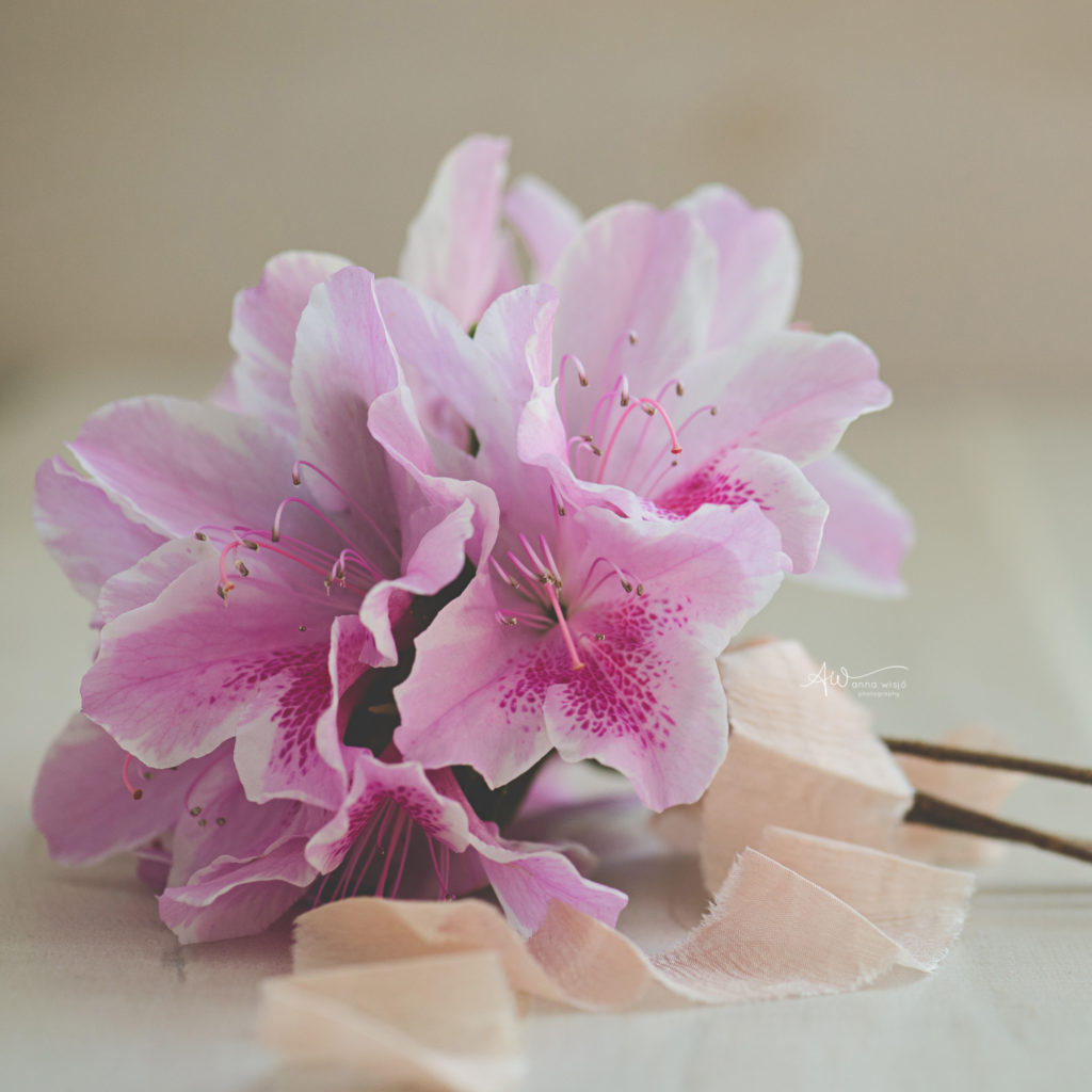 Simple Wedding Flowers | Charlotte Wedding Photography