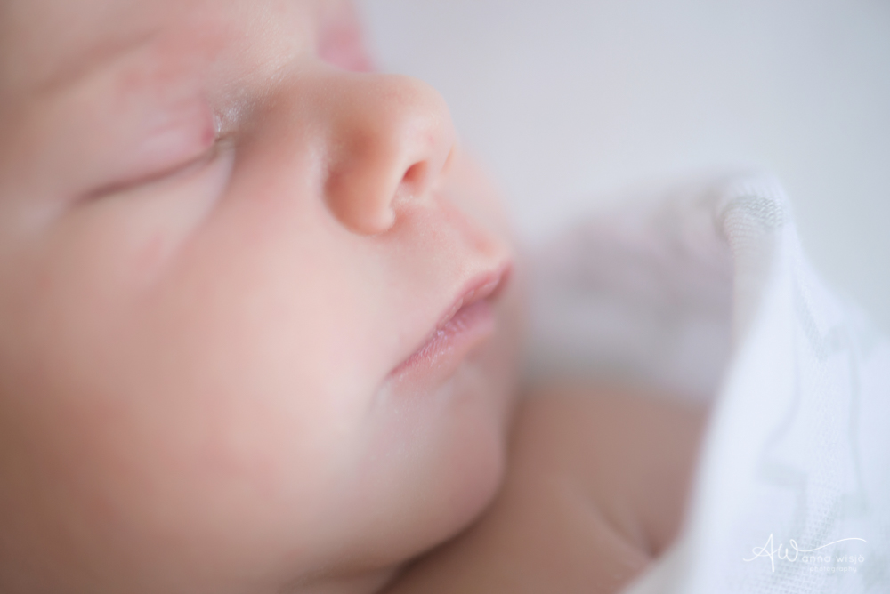 Natural Newborn | Charlotte Newborn Photographer