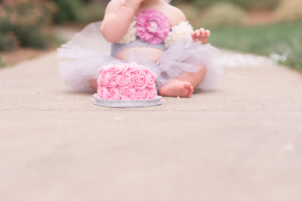 Emma Cake Smash | Charlotte Baby Photographer