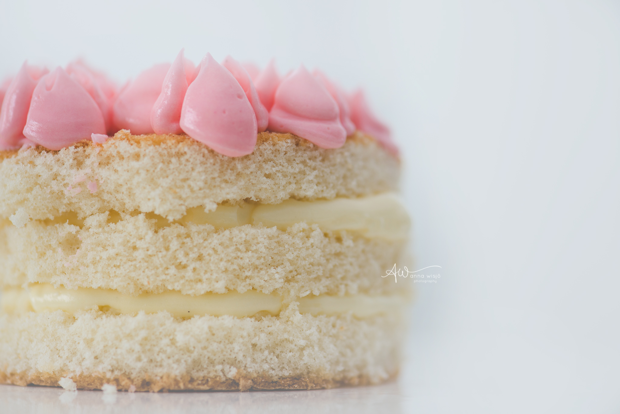 Mini Cake | Charlotte Food Photographer