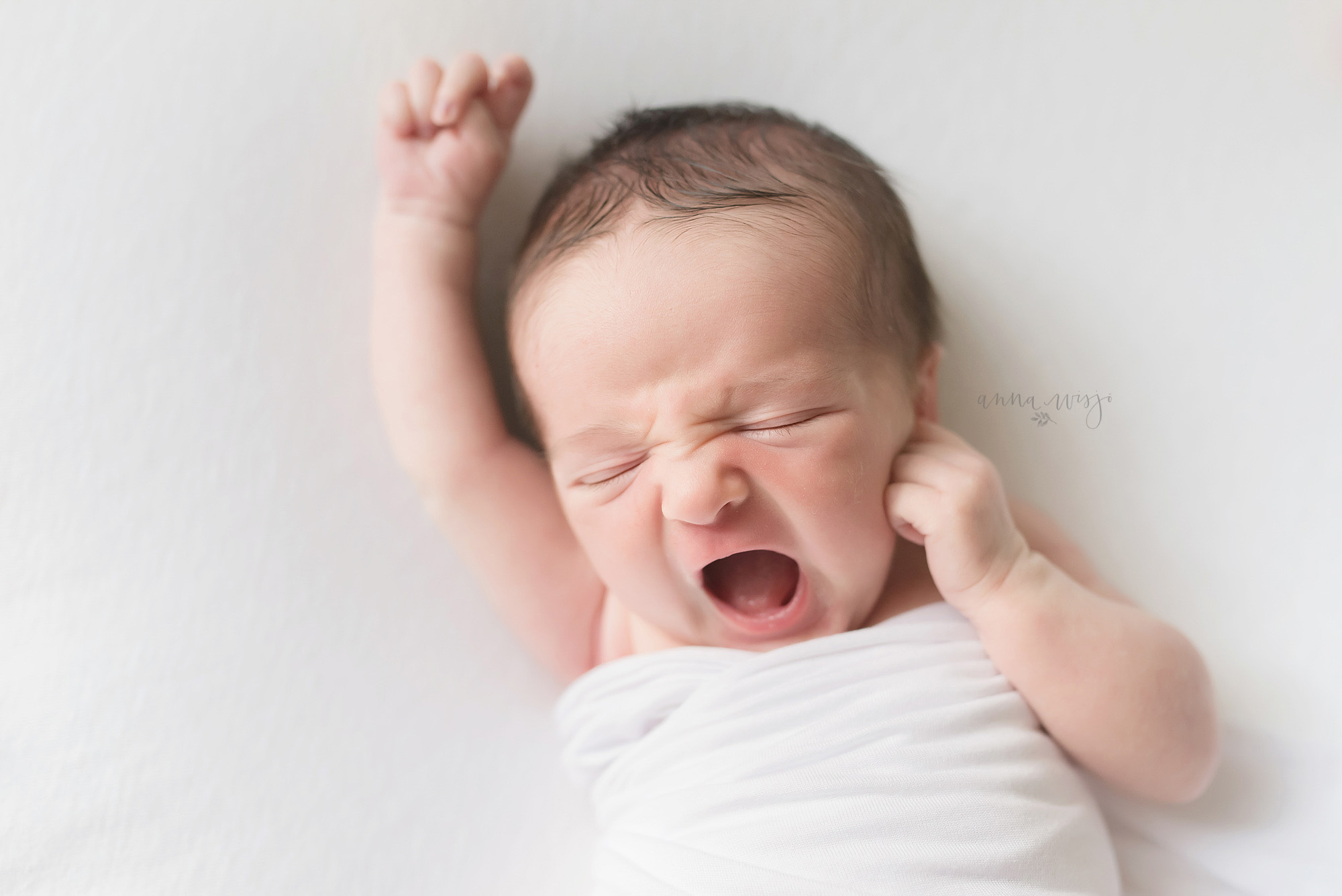 Simple Newborn | Charlotte Newborn Photographer | Anna Wisjo Photography