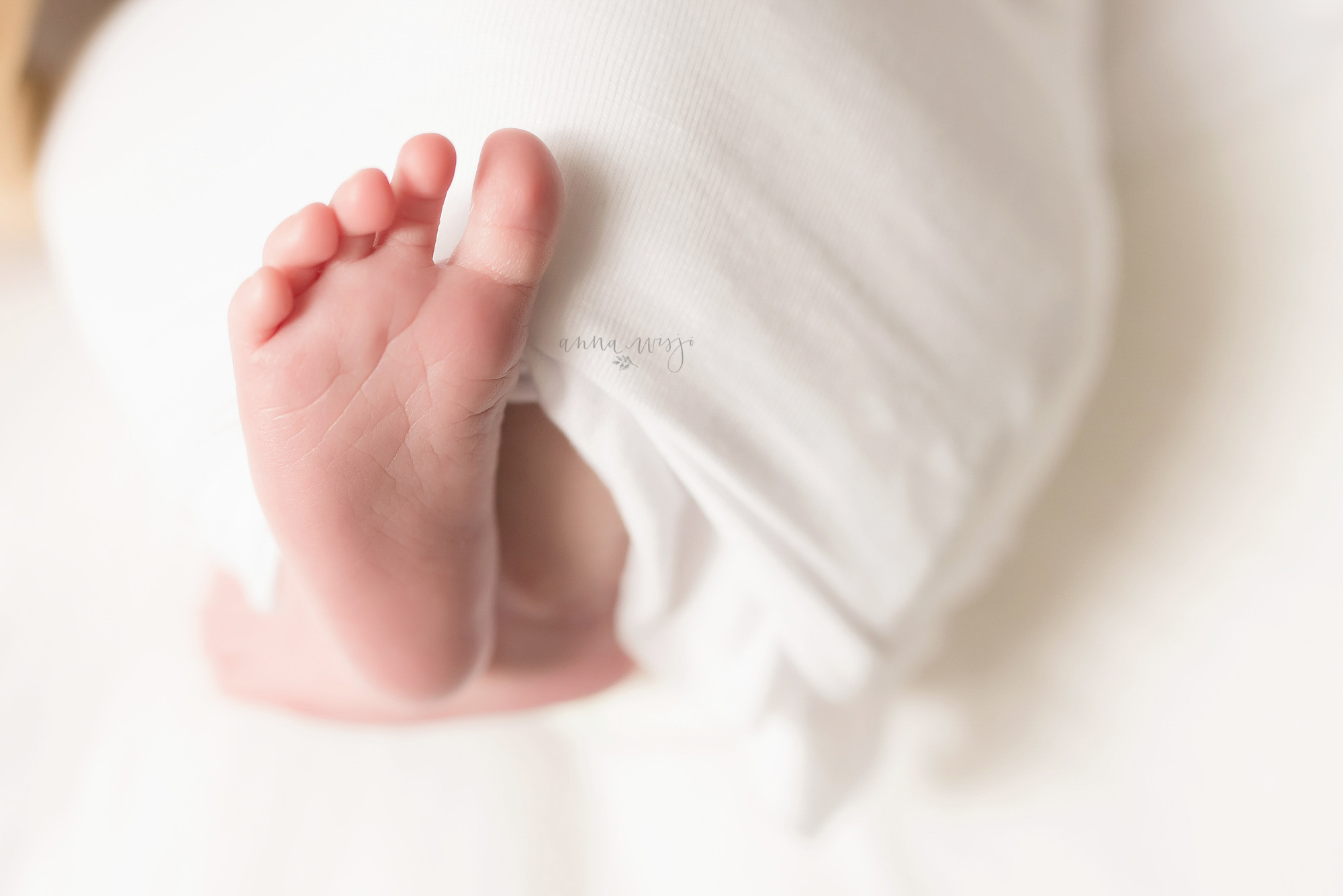 Simple Newborn Details | Charlotte Newborn Photographer | Anna Wisjo Photography