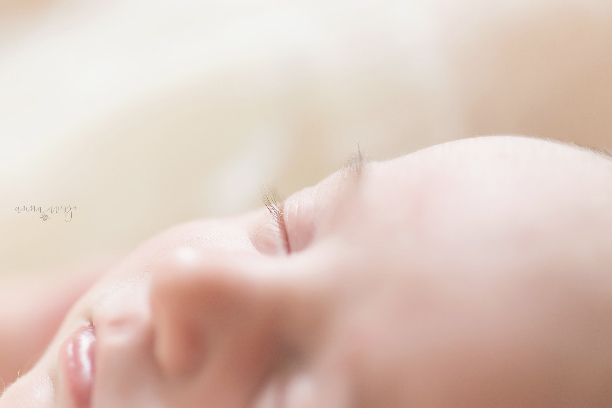 Simple Newborn Details | Charlotte Newborn Photographer | Anna Wisjo Photography