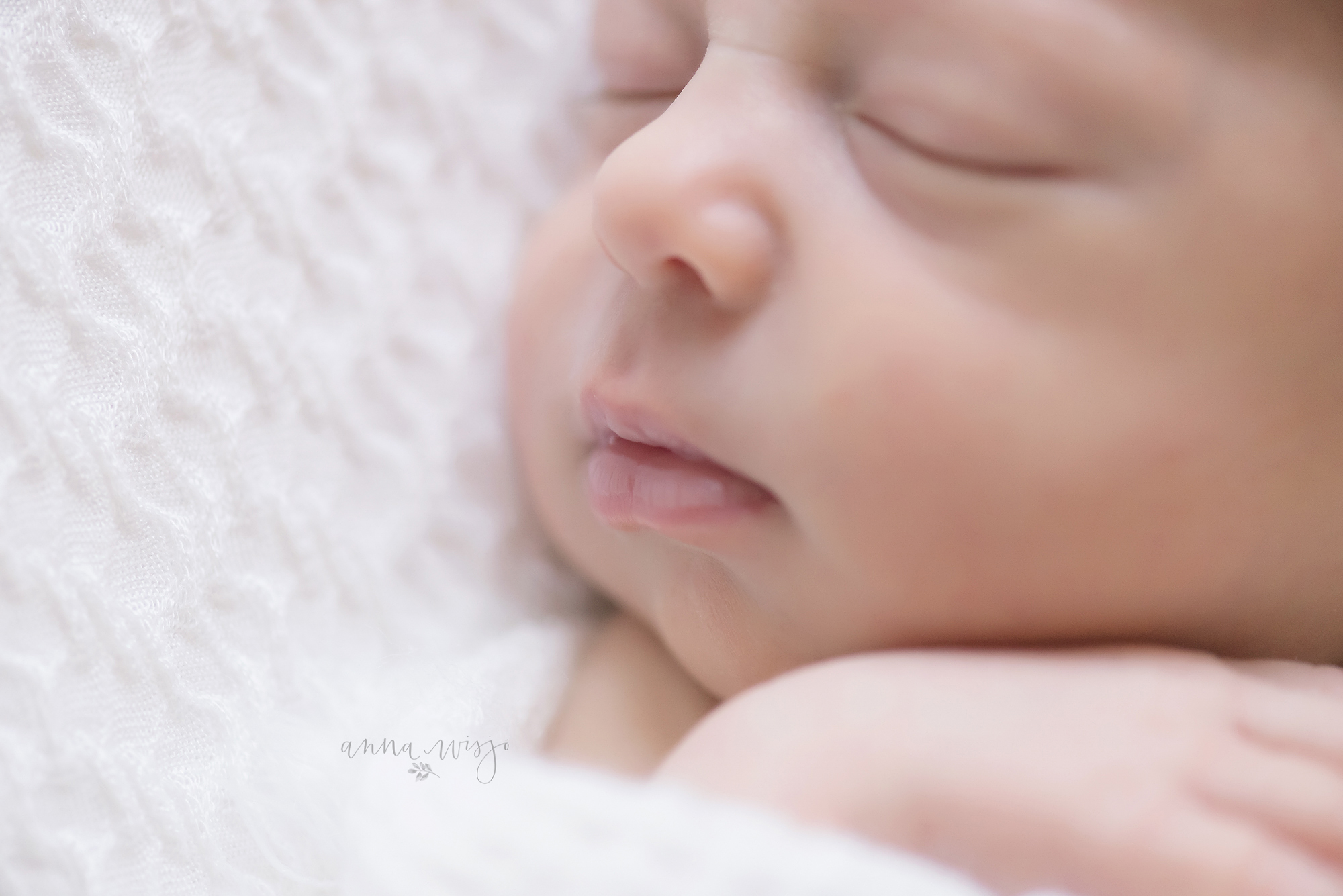 Faith | Denver NC Newborn Photographer