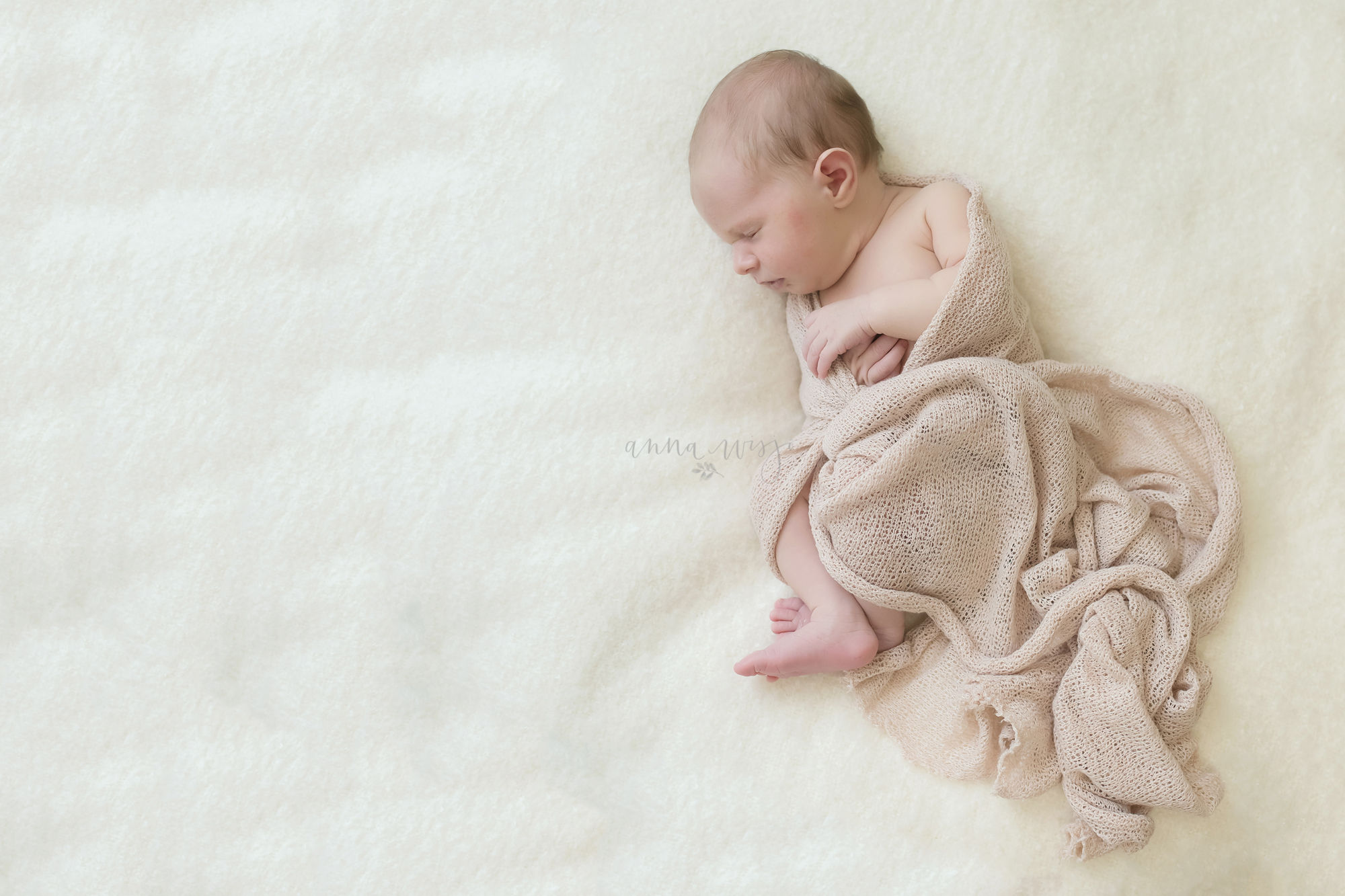 Aralyn | Denver NC Newborn Photographers | Anna Wisjo Photography