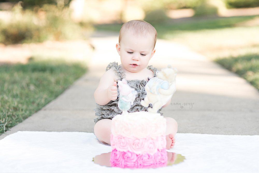 Adeline CakeSmash | Charlotte Baby Photographer
