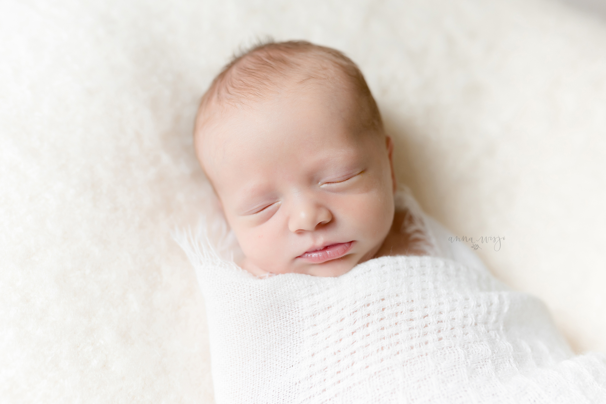 Twin Newborns | Lake Norman Newborn Photographer | Anna Wisjo Photography