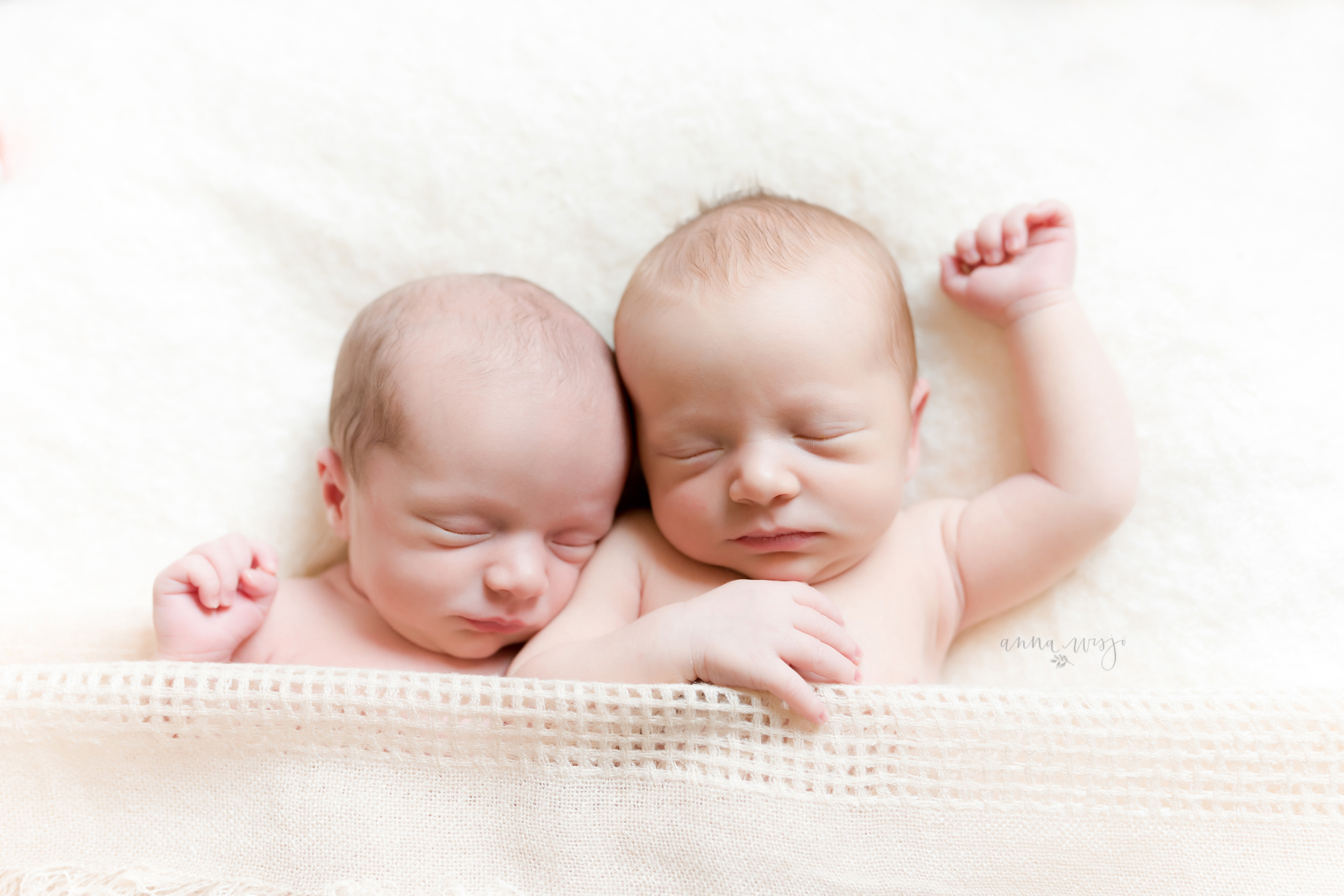 Twin Newborns | Lake Norman Newborn Photographer | Anna Wisjo Photography