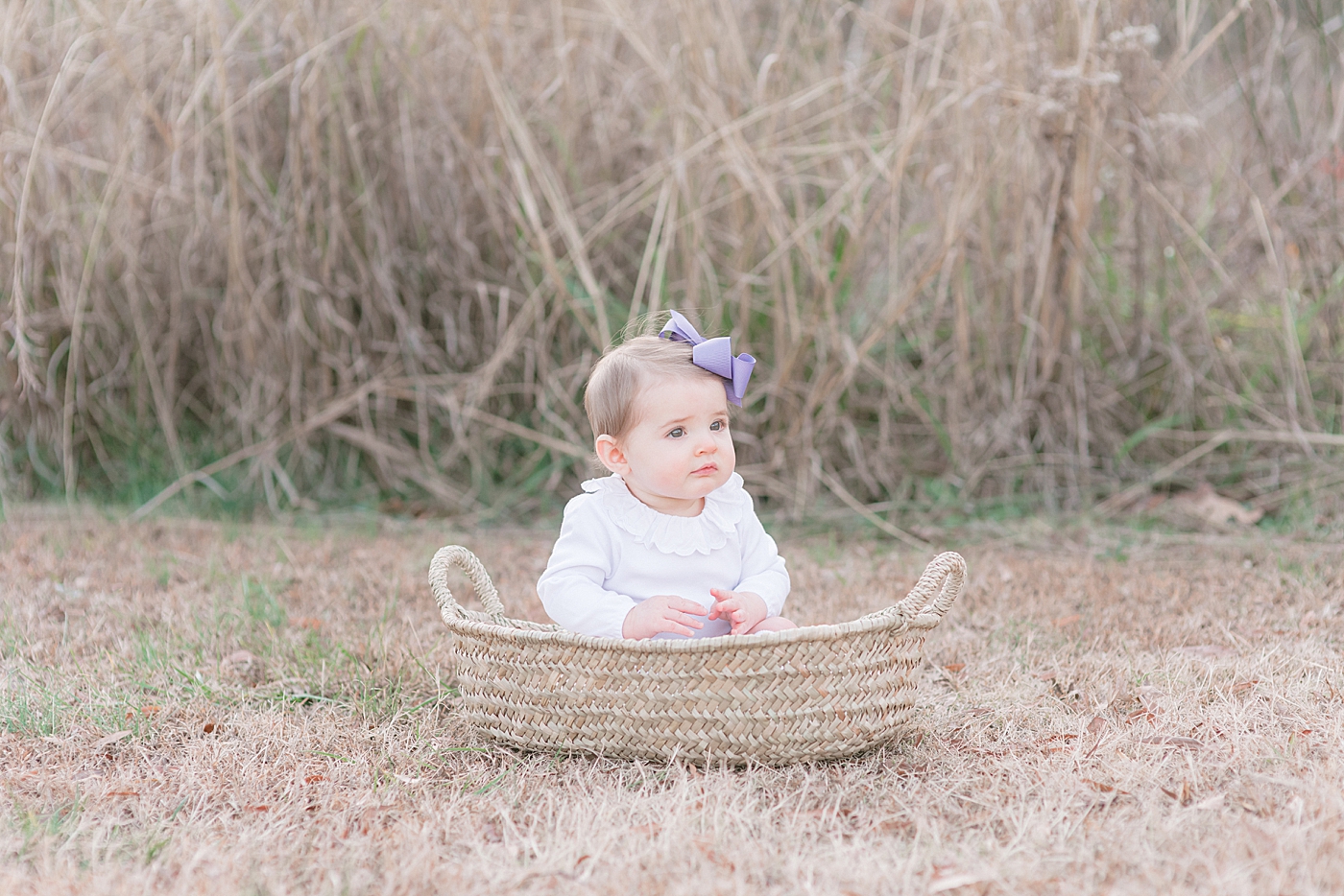 Baby with a purple bow sitting in a basket during her milestone session| Photo by Anna Wisjo Photography 