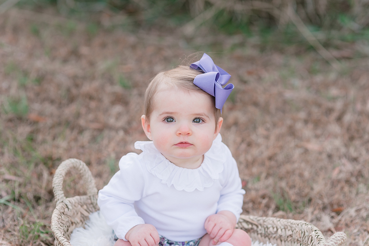 Baby girl with a purple bow sitting in a basket at Milestone Session at Marvin Efird Park | Photo by Anna Wisjo Photography 