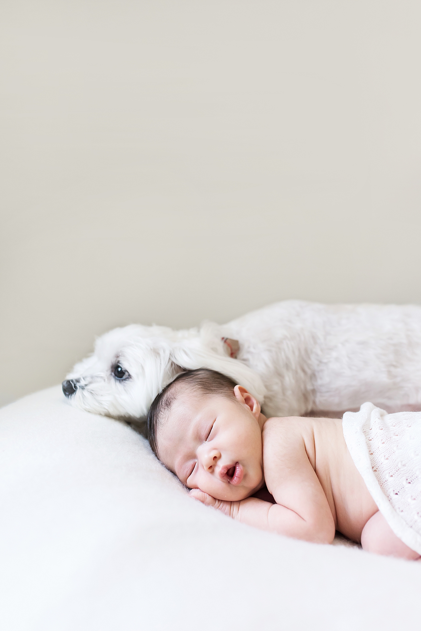 Fluffy white dog laying beside sleeping newborn baby girl | Photo by Anna Wisjo Photography